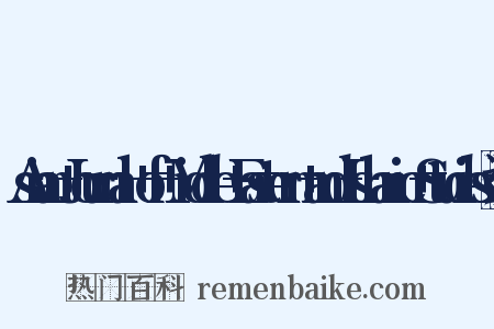 Asian+Journal+of+Middle+Eastern+and+Islamic+Studies造句是什么意思的图片